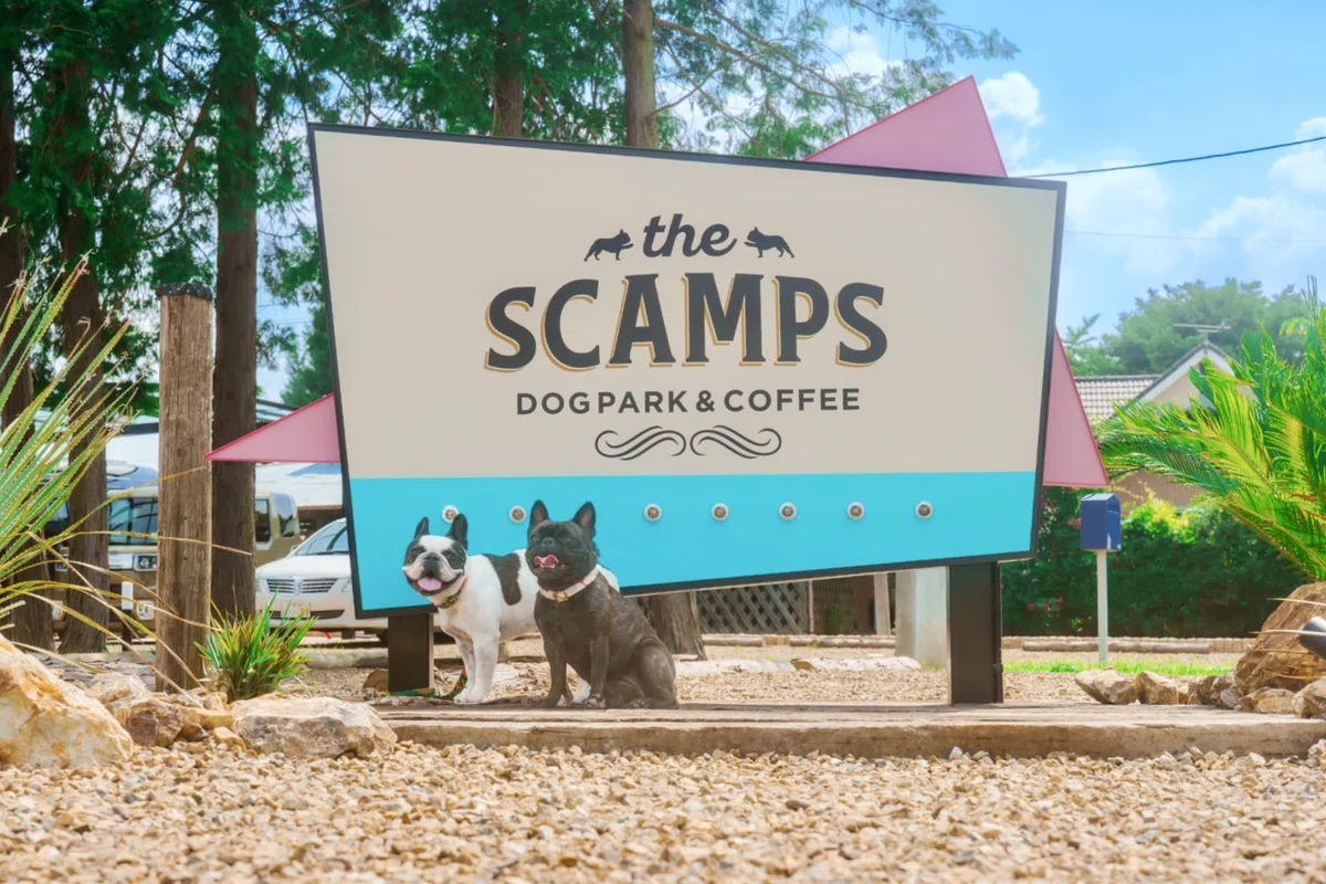 the SCAMPSドッグパーク&カフェの看板と前でポーズをとるフレンチブルドッグたち